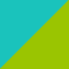 Bright Teal & Yellow-Green